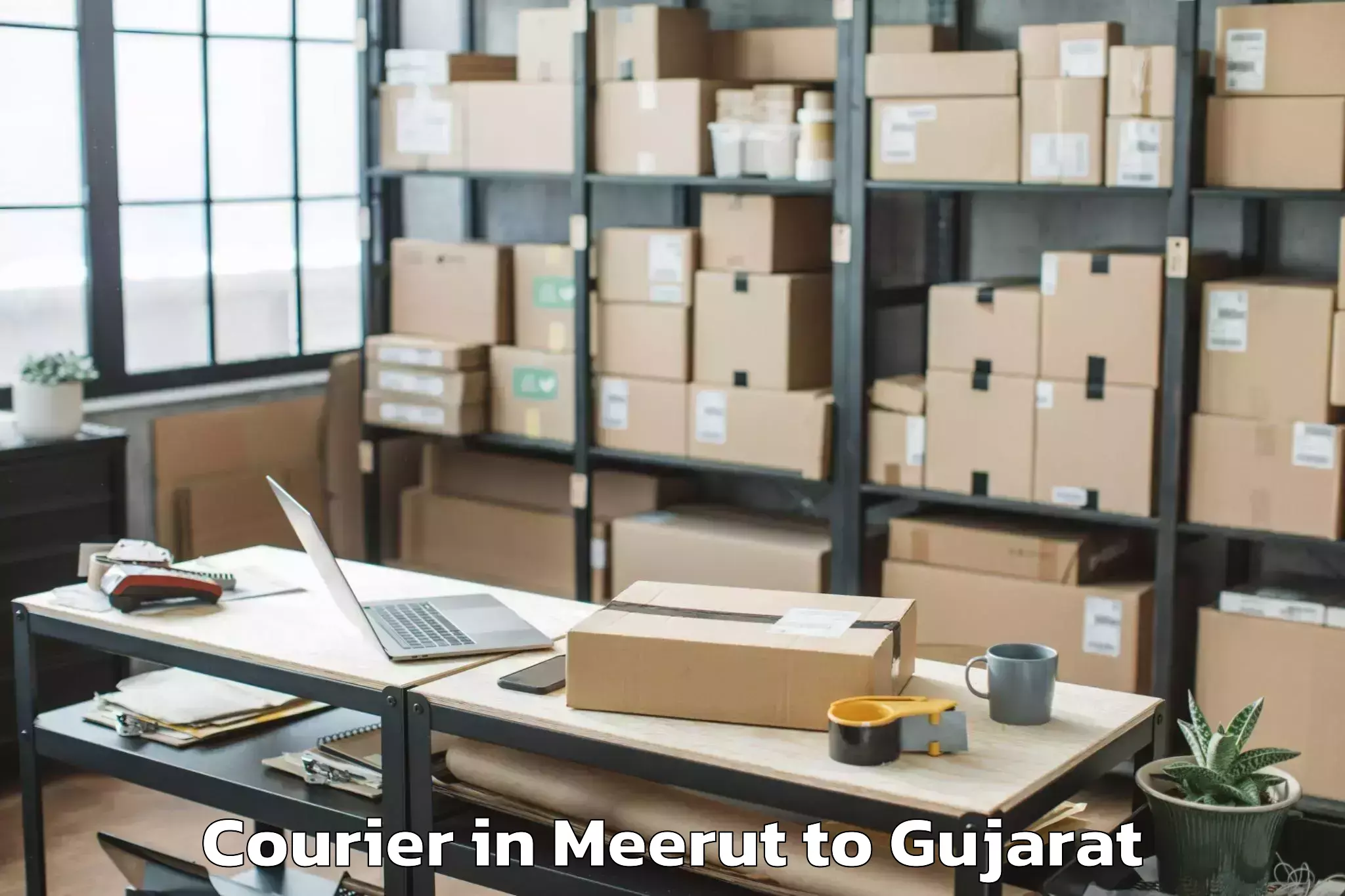 Book Meerut to Radhanpur Courier Online